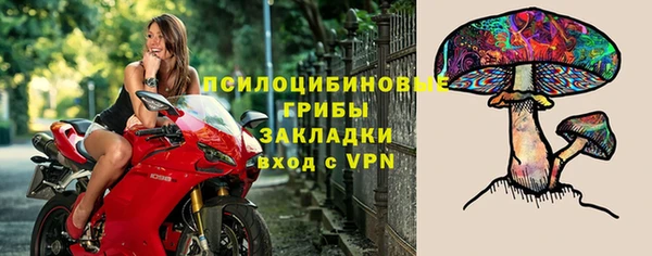ГАЛЛЮЦИНОГЕННЫЕ ГРИБЫ Зеленодольск