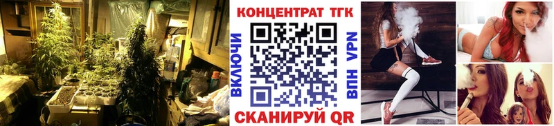 ТГК гашишное масло  Иннополис 